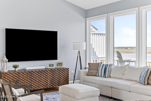living area featuring baseboards, plenty of natural light, and wood finished floors