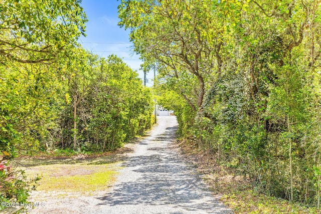 view of road featuring driveway