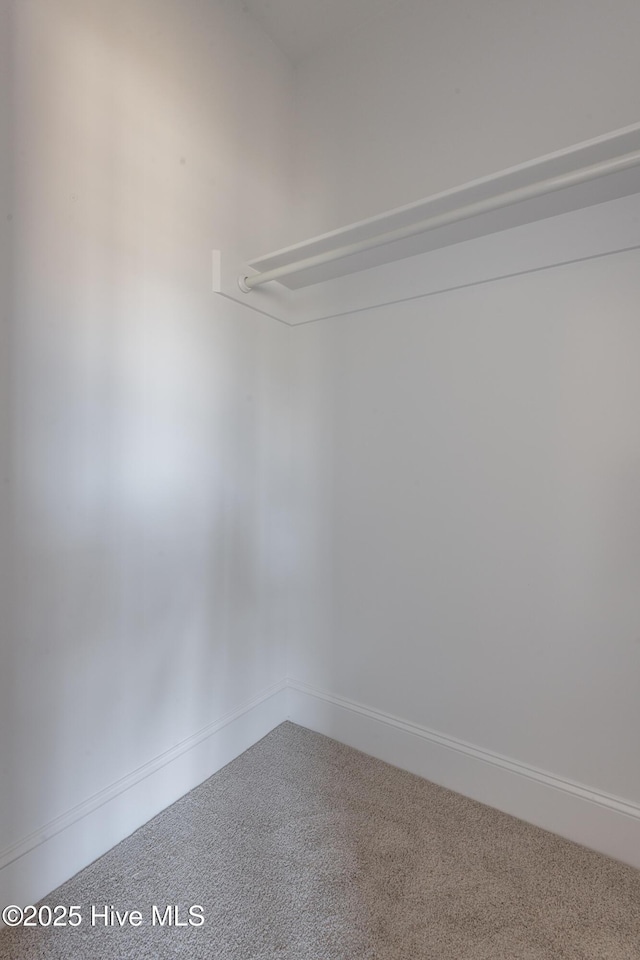 walk in closet featuring carpet flooring