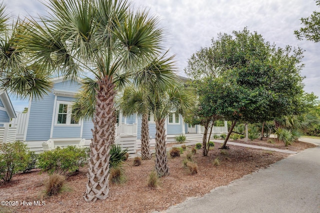 801 Federal Rd, Bald Head Island, NC 28461 - view of property hidden behind natural elements