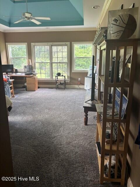2602 Linden Ln NW, Wilson, NC 27896 - interior space featuring crown molding, plenty of natural light, a tray ceiling, and a ceiling fan