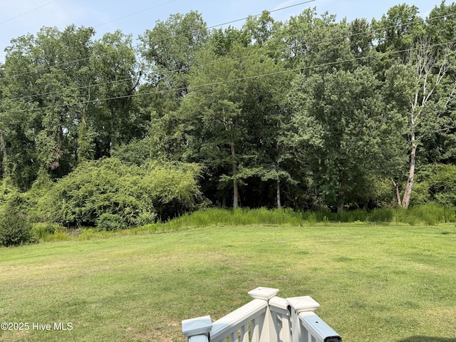 2602 Linden Ln NW, Wilson, NC 27896 - view of green lawn