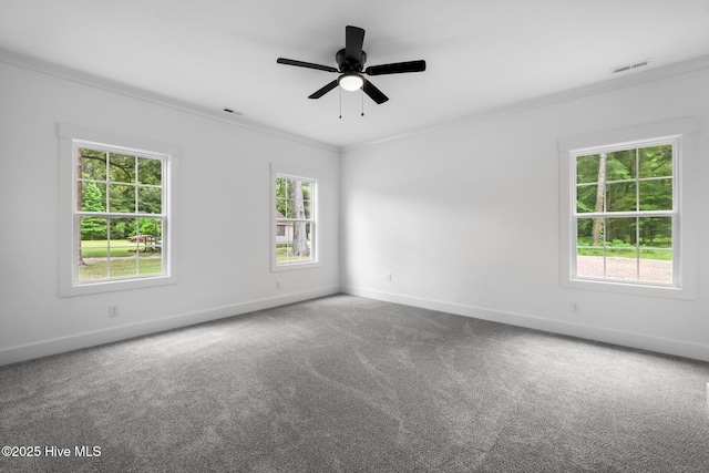 1064 Tulls Creek Rd, Moyock, NC 27958 - carpeted empty room with plenty of natural light, ornamental molding, baseboards, and ceiling fan