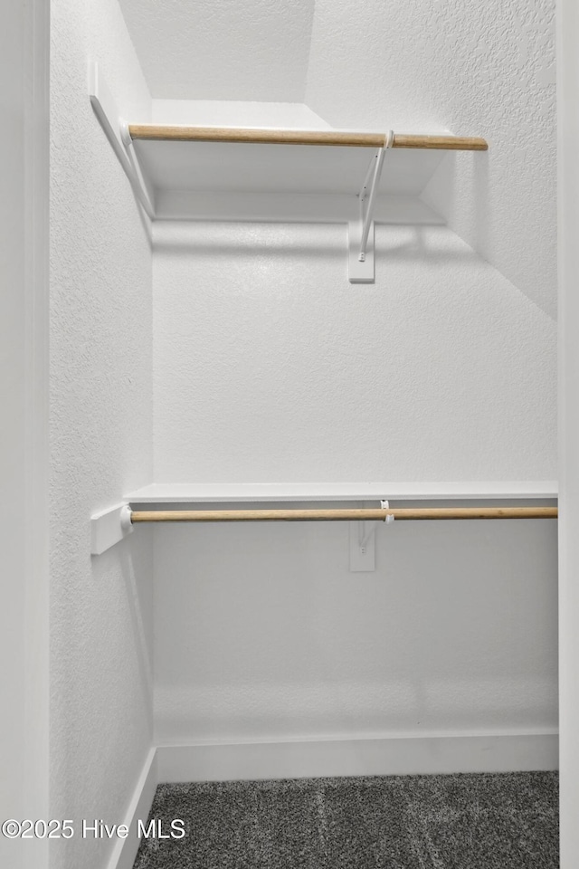 1064 Tulls Creek Rd, Moyock, NC 27958 - spacious closet featuring carpet flooring