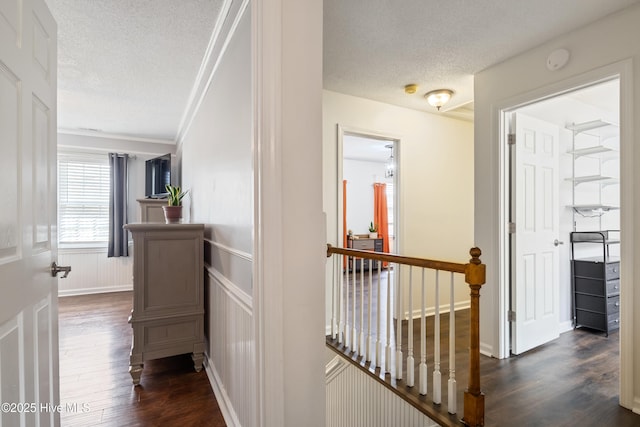 1714 Darian Dr, Elizabeth City, NC 27909 - hallway featuring a wainscoted wall, a textured ceiling, a decorative wall, and dark wood-style flooring