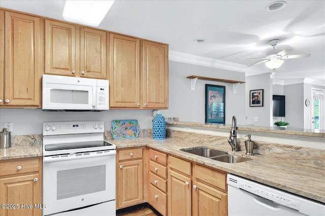 260 S Crow Creek Dr NW Lot 18, Calabash, NC 28467 - kitchen with a ceiling fan, ornamental molding, white appliances, light stone counters, and a sink