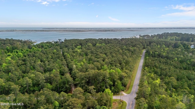 aerial view featuring a water view and a view of trees