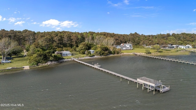 drone / aerial view with a water view and a view of trees