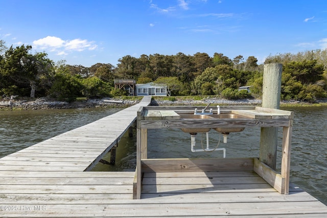 dock area with a water view