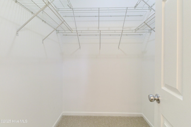 walk in closet featuring light carpet