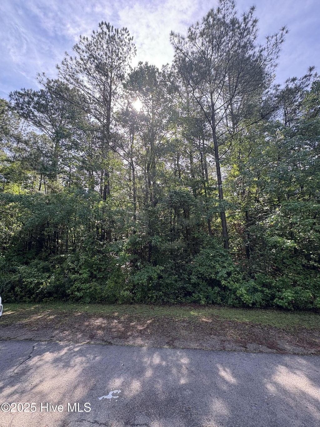809 Sumac Ln, Vass, NC 28394