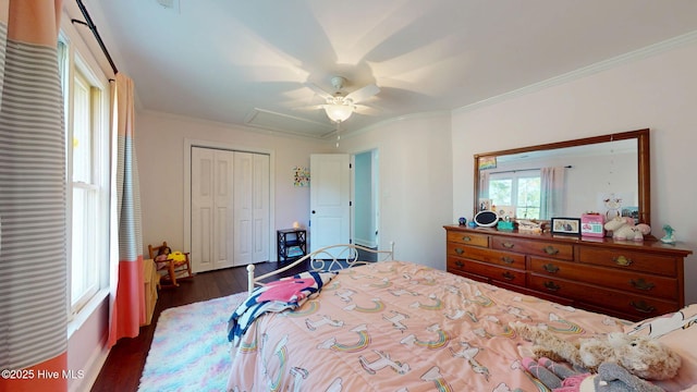 2417 Turtle Bay Dr, New Bern, NC 28562 - bedroom with a closet, ornamental molding, attic access, ceiling fan, and dark wood-type flooring