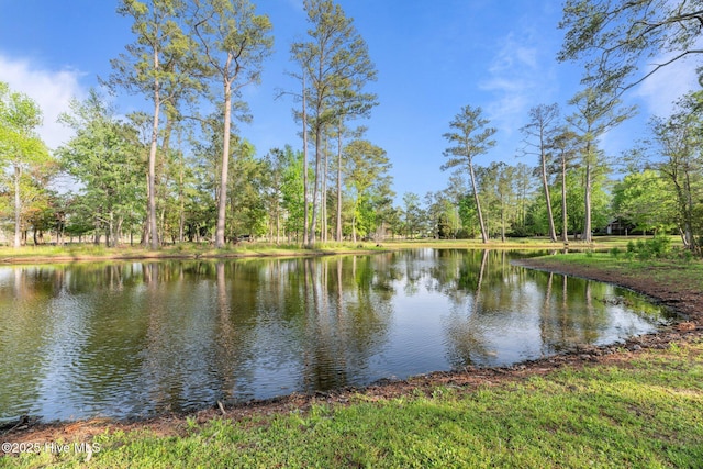 2417 Turtle Bay Dr, New Bern, NC 28562 - property view of water
