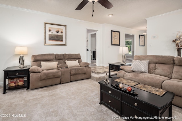 869 Driftwood Dr, Greenville, NC 27858 - living room featuring crown molding, ceiling fan, light carpet, and baseboards