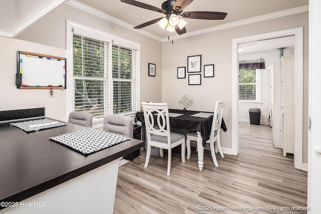 869 Driftwood Dr, Greenville, NC 27858 - dining room with a ceiling fan, light wood-style floors, crown molding, plenty of natural light, and baseboards