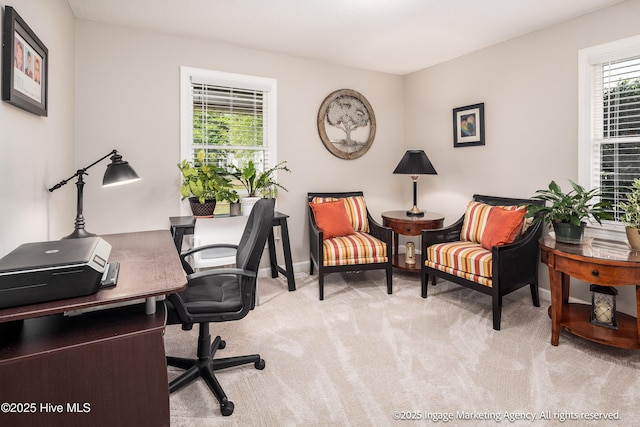 869 Driftwood Dr, Greenville, NC 27858 - office area with light colored carpet and baseboards