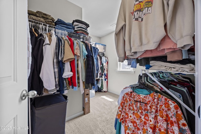 spacious closet with carpet