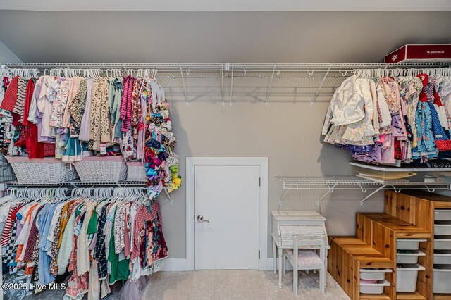 22 Calhoun Ln, Pinehurst, NC 28374 - spacious closet with carpet