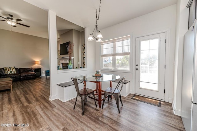 dining space featuring a healthy amount of sunlight, ceiling fan with notable chandelier, and wood finished floors