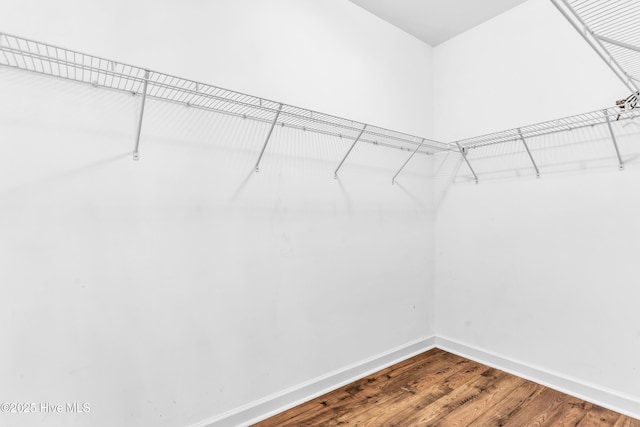 walk in closet with wood finished floors