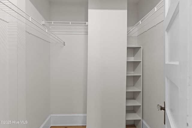 view of spacious closet