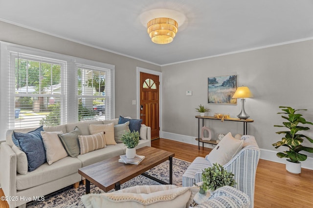 living room featuring crown molding, baseboards, and wood finished floors