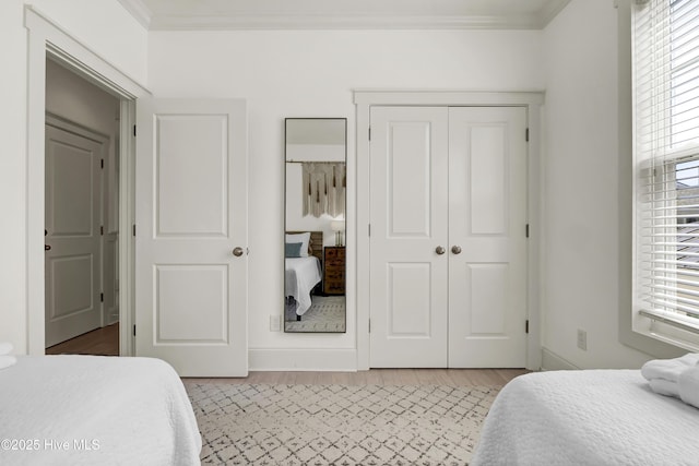 bedroom featuring crown molding and a closet