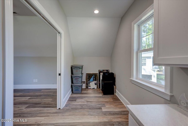 additional living space with vaulted ceiling, light wood finished floors, and a wealth of natural light