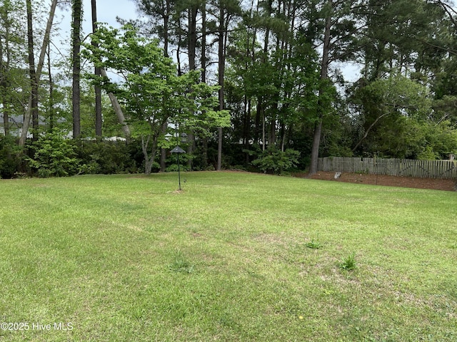 117 Foster Creek Ct, Swansboro, NC 28584 - view of yard with fence