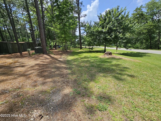 181 Joel Rd, Carthage, NC 28327