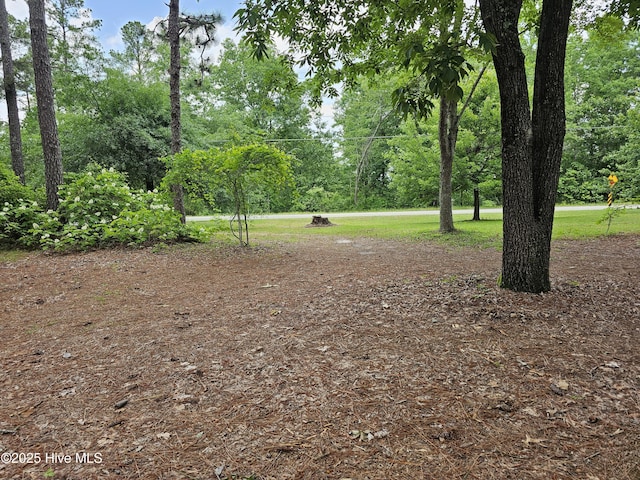 181 Joel Rd, Carthage, NC 28327