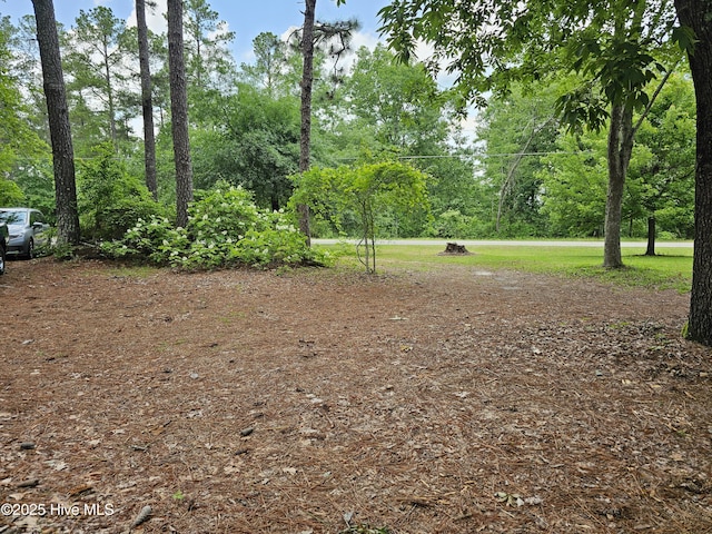 181 Joel Rd, Carthage, NC 28327