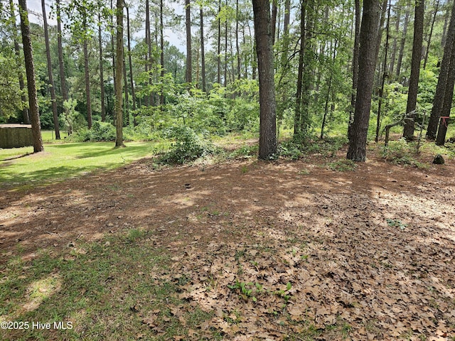 181 Joel Rd, Carthage, NC 28327