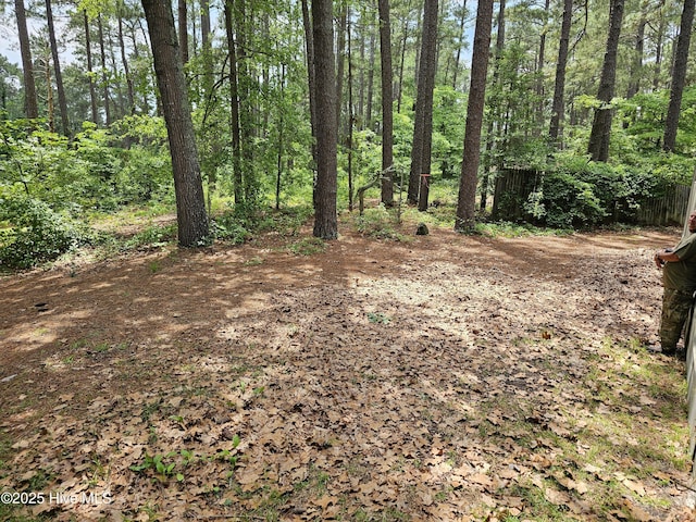 181 Joel Rd, Carthage, NC 28327