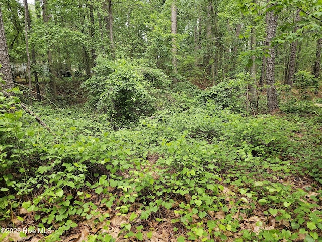 181 Joel Rd, Carthage, NC 28327