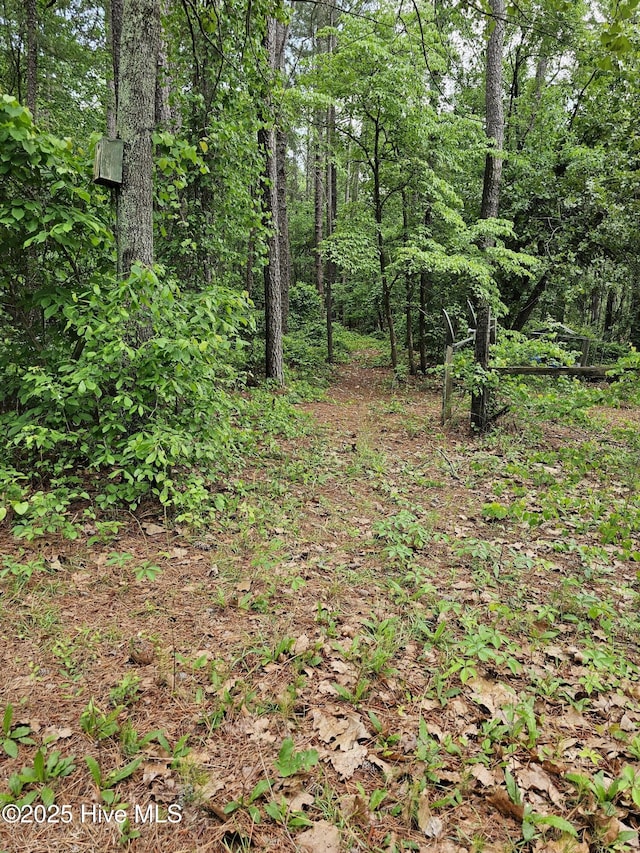 181 Joel Rd, Carthage, NC 28327