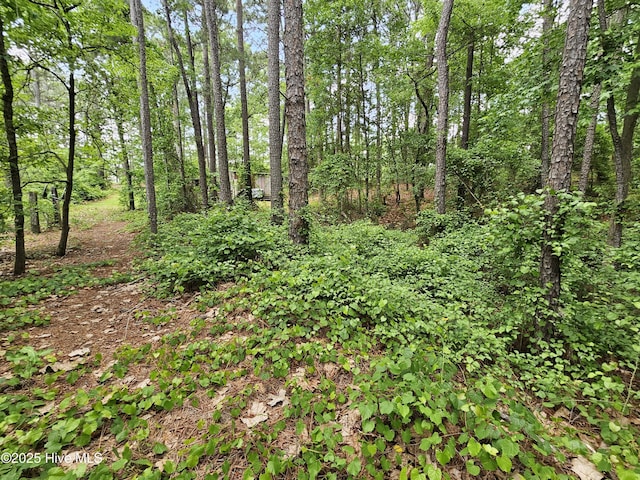 181 Joel Rd, Carthage, NC 28327