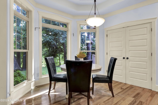 dining room featuring light wood finished floors and a wealth of natural light