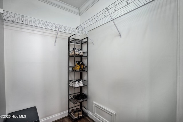 spacious closet featuring dark wood finished floors and visible vents