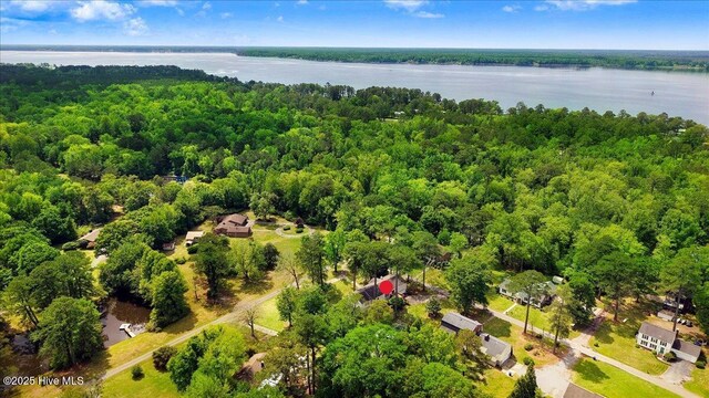 105 Harbor Dr, Washington, NC 27889 - bird's eye view featuring a view of trees and a water view