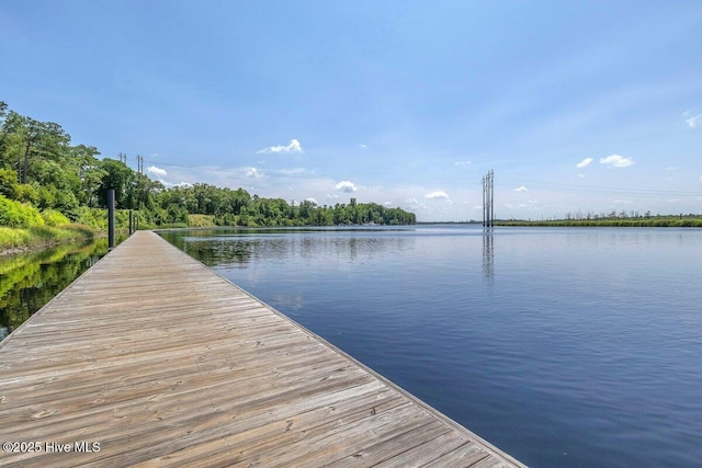 661 Jenoa Loop, Castle Hayne, NC 28429 - dock area with a water view