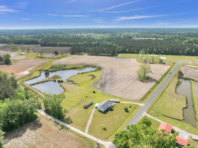 194 Blanks Rd, Clarkton, NC 28433 - aerial view with a water view