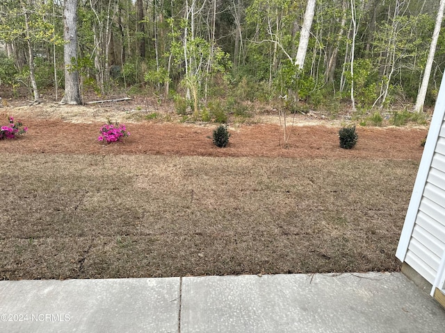 5034 Northstar Dr Unit 68, Leland, NC 28451 - view of yard featuring a view of trees