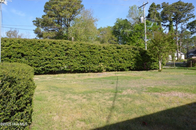 101 N Channel Haven Dr, Wilmington, NC 28409 - view of grassy yard