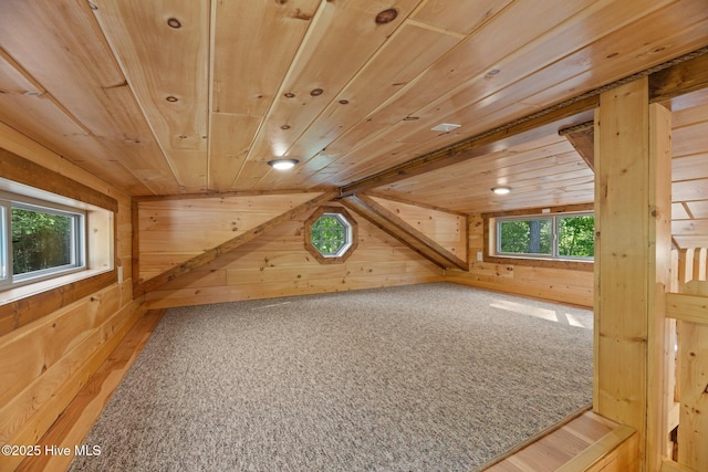 280 Charlie Rd, Arapahoe, NC 28510 - additional living space featuring wood walls, wooden ceiling, and carpet