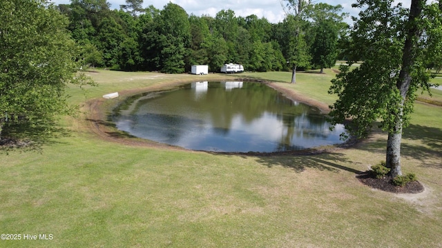 106 Ehrhardt Way, Princeton, NC 27569 - view of water feature