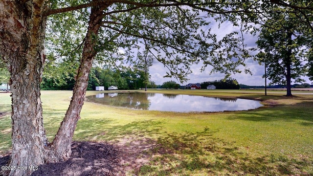 106 Ehrhardt Way, Princeton, NC 27569 - water view