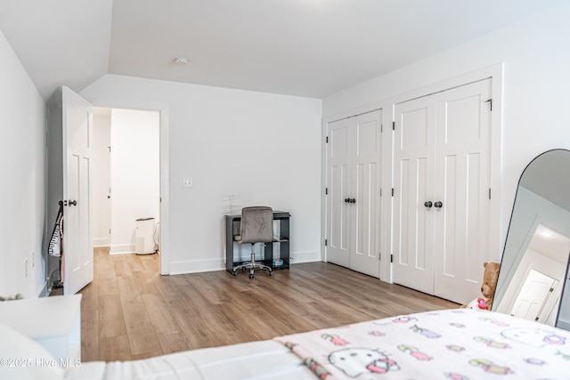 102 Dartmoor Ln, West End, NC 27376 - bedroom with light wood-style flooring, lofted ceiling, and two closets
