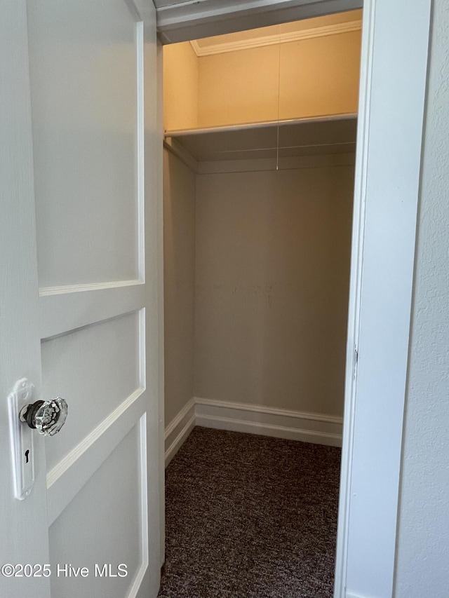 469 Lamont St, Belhaven, NC 27810 - view of closet