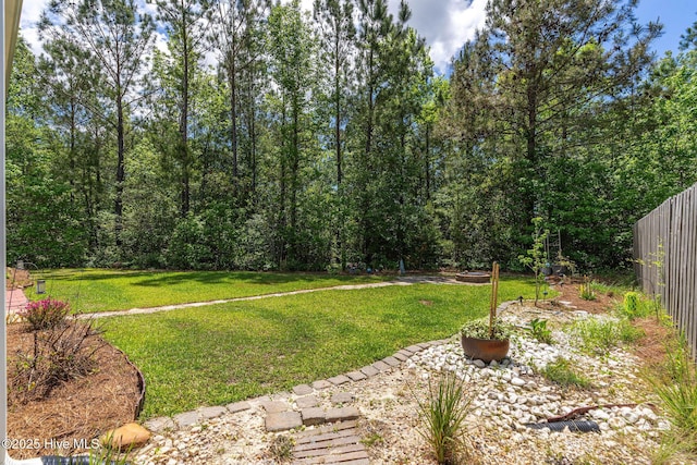 1699 Haldon Ln SE, Bolivia, NC 28422 - view of yard with fence